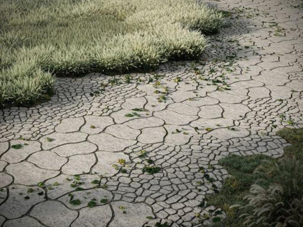 444668 deer organic cobbles