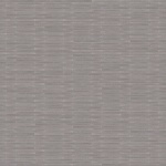 Shadow Grey