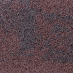 Rhijnauwen Rood-Zwart