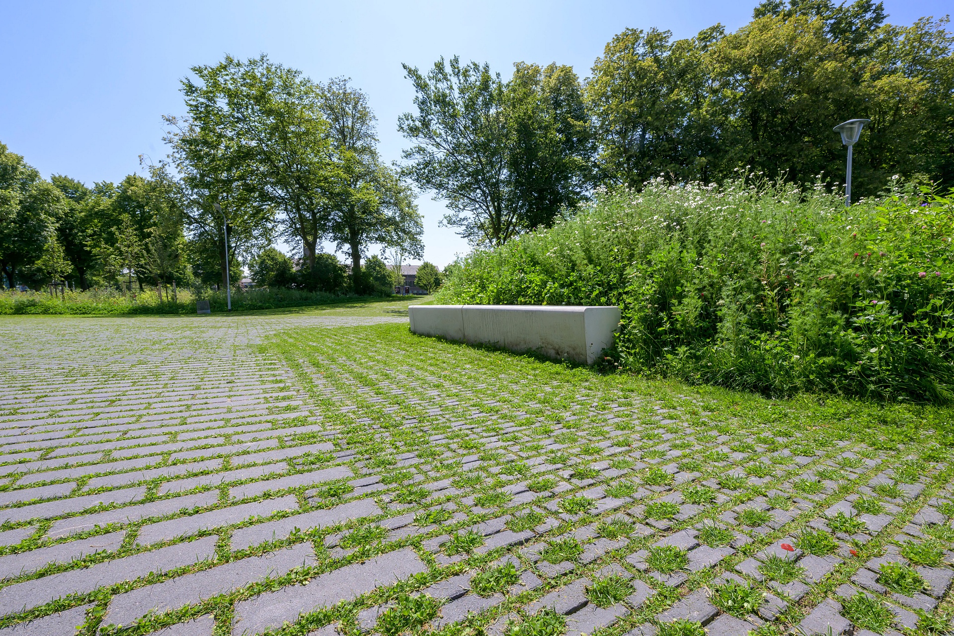 mbi klimaatadaptieve bestrating ncb steen type 1 2 het groene woud middelburg 15 