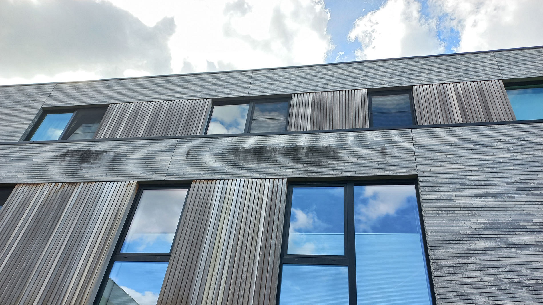 Alg schimmel mos op gevel