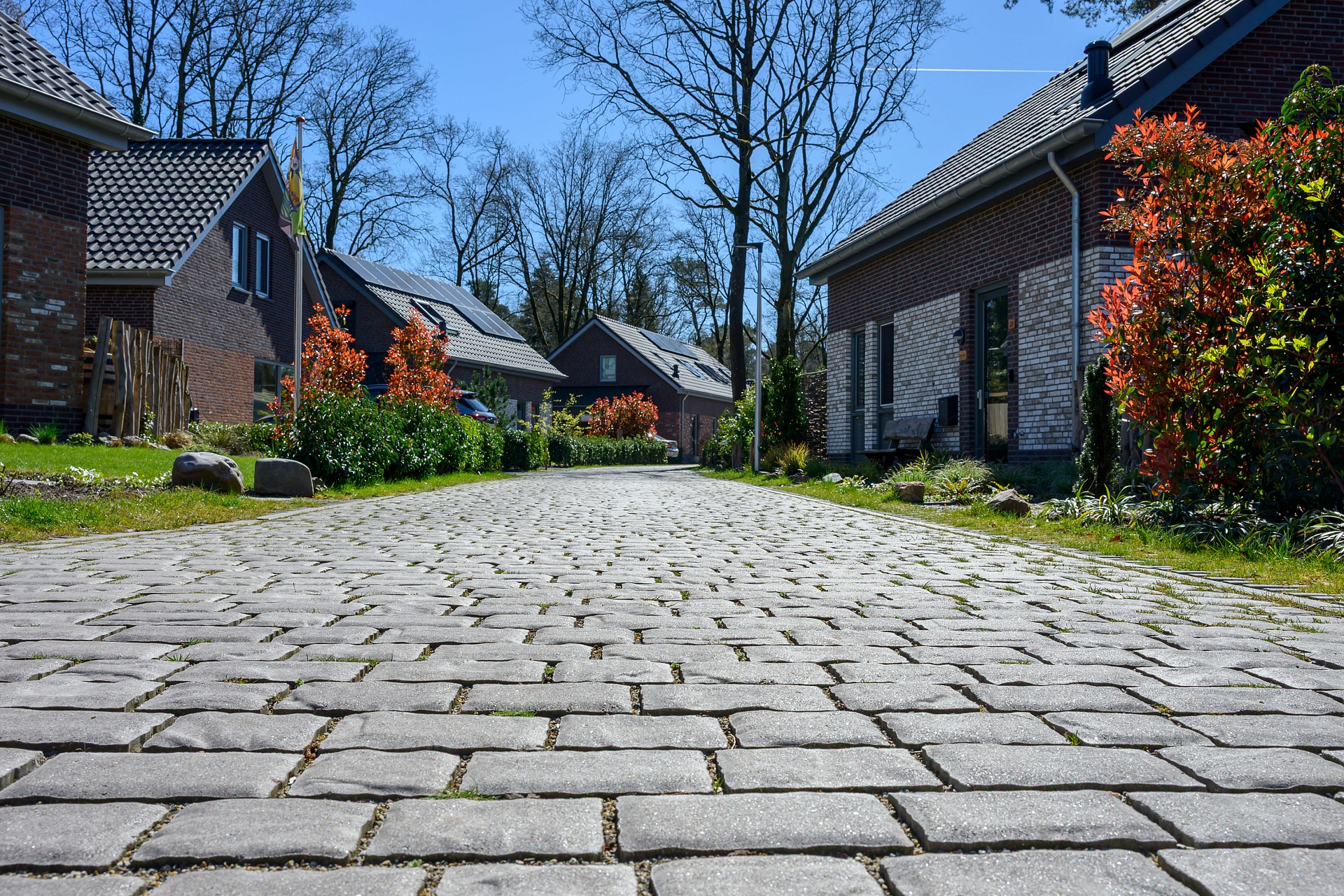 mbi oud duyn ermelo geosteen kasseistenen lineair lazise 8cm 37 