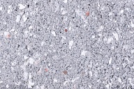 geocolor excellent r00 reflex grijs