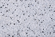 geocolor excellent 552 edelhelderwit