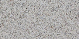 a00 grijs
