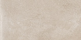 mirage dijon coquille