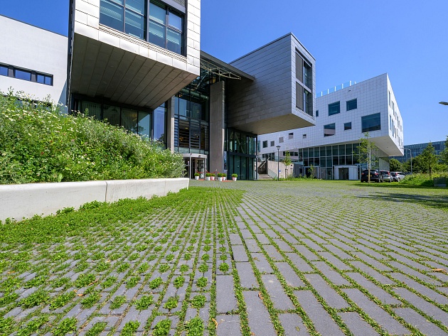 mbi klimaatadaptieve bestrating ncb steen type 1 2 het groene woud middelburg 23 