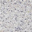 geocolor excellent 594 zilverwit