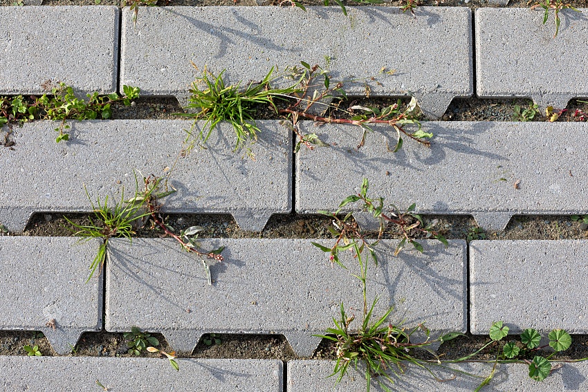 mbi klimaatadaptief parkeerterrein drievliet rijswijk herba linea grijs ncb type 1 grijs 7 