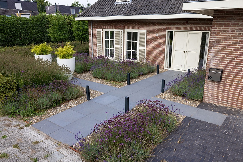 Moderne Tuin Met Zwembad En Tuinkamer
