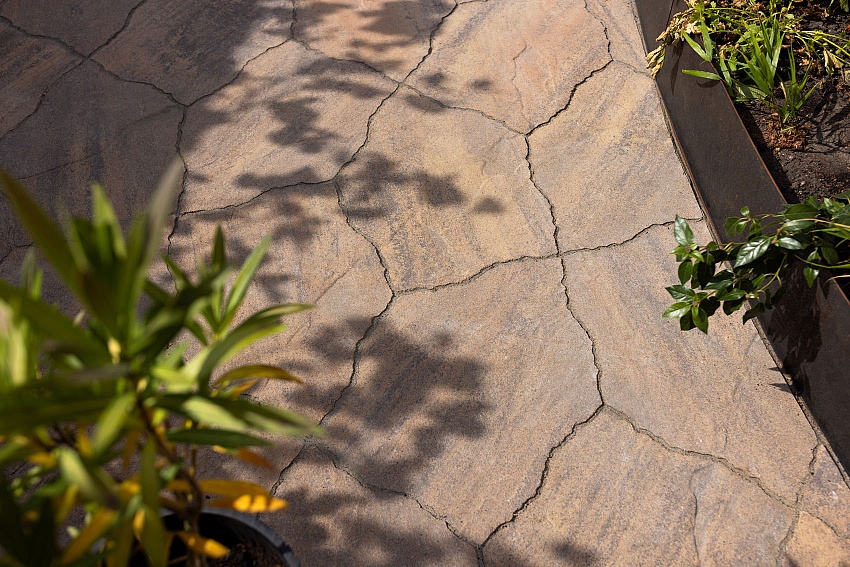 mbi organische tuin met geoardesia alivo riviera assen 18