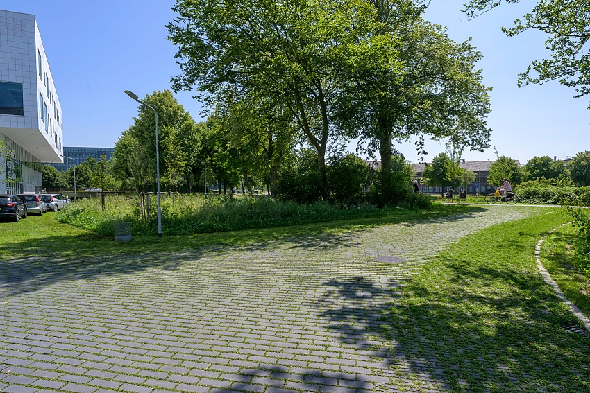 mbi klimaatadaptieve bestrating ncb steen type 1 2 het groene woud middelburg 14 