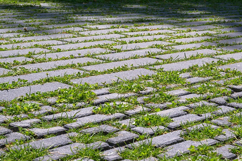 mbi klimaatadaptieve bestrating ncb steen type 1 2 het groene woud middelburg 40 