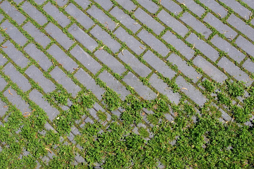 mbi klimaatadaptieve bestrating ncb steen type 1 2 het groene woud middelburg 44 