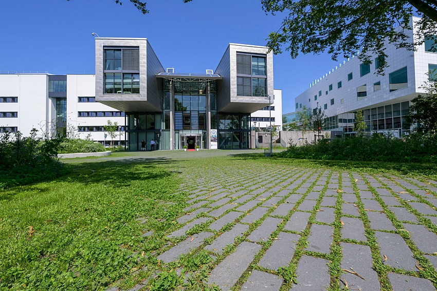 mbi klimaatadaptieve bestrating ncb steen type 1 2 het groene woud middelburg 47 