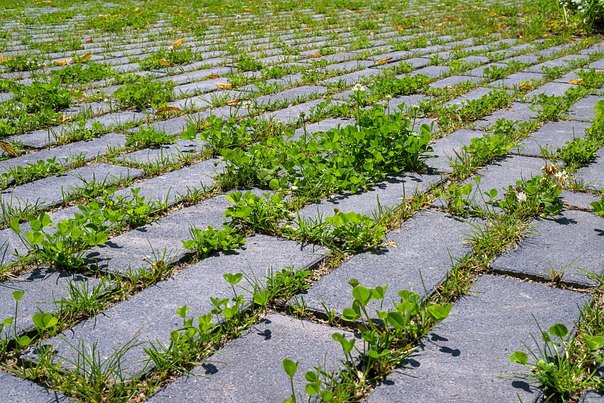mbi klimaatadaptieve bestrating ncb steen type 1 2 het groene woud middelburg 53 
