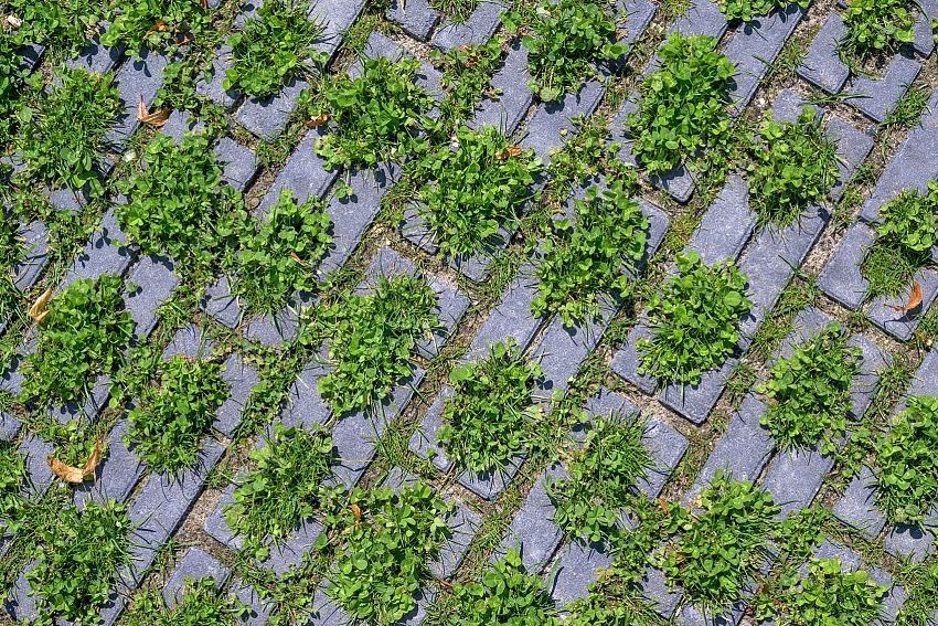 Het Groene Woud Middelburg