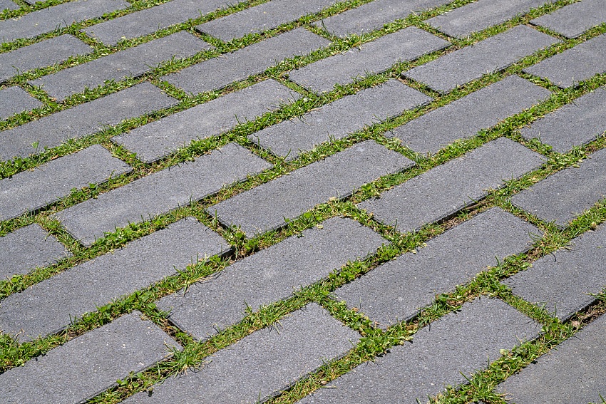 Het Groene Woud Middelburg