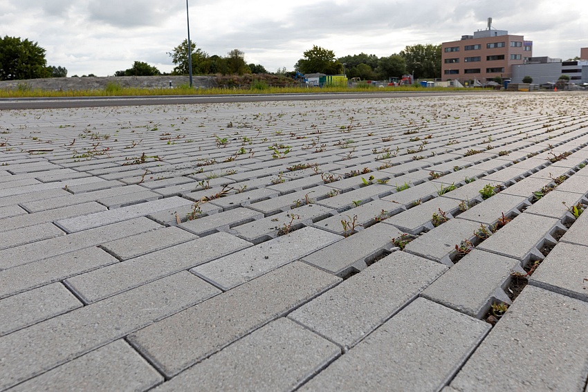 Parkeren Drievliet Rijswijk