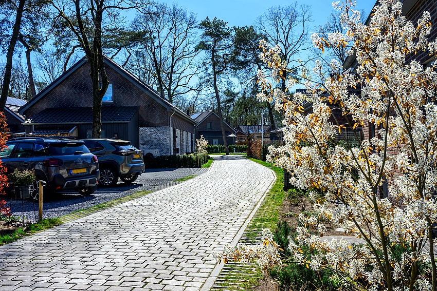 mbi oud duyn ermelo geosteen kasseistenen lineair lazise 8cm 28 