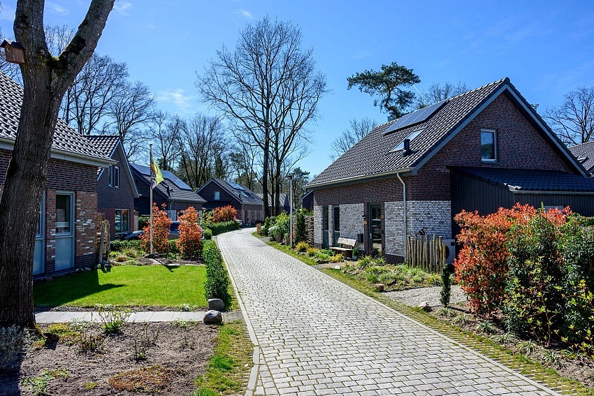 mbi oud duyn ermelo geosteen kasseistenen lineair lazise 8cm 2 