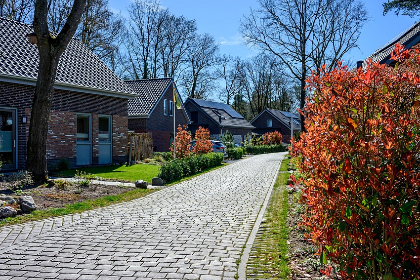 mbi oud duyn ermelo geosteen kasseistenen lineair lazise 8cm 3 
